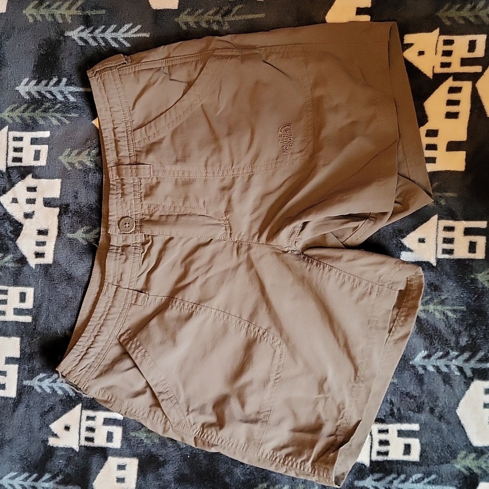 Brown North Face Shorts (Size 4)